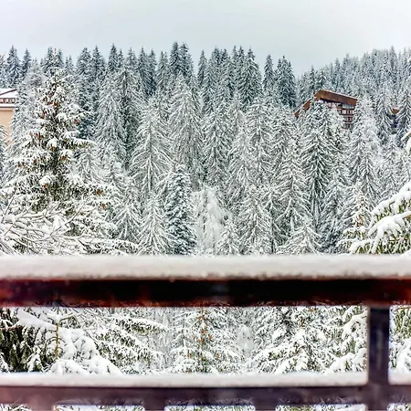 Alpine Glow With Parking By Flat Manаger * Pamporovo
